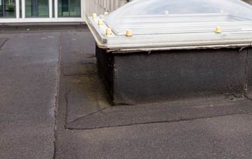 disadvantages of Sampford Spiney flat roofs