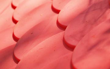 Sampford Spiney plastic roof costs