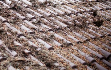 Sampford Spiney roof cleaning companies