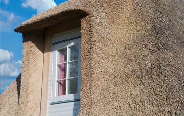 Sampford Spiney thatch roof disadvantages