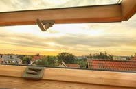 rated Sampford Spiney roof window companies